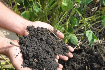 Why Studying Soil Is Key to Our Future